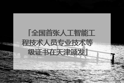 全国首张人工智能工程技术人员专业技术等级证书在天津颁发