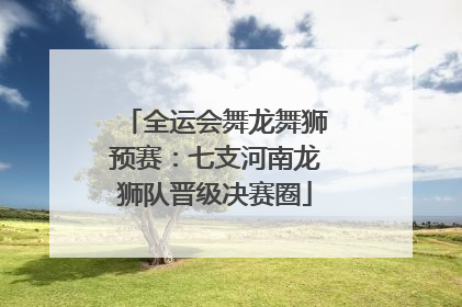 全运会舞龙舞狮预赛：七支河南龙狮队晋级决赛圈