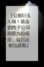 公募巨头入场！基金销售子公司迎第九位成员，易方达财富获批