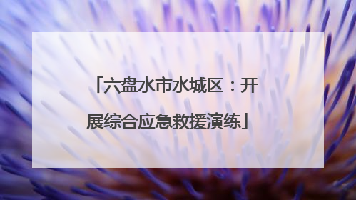 六盘水市水城区：开展综合应急救援演练