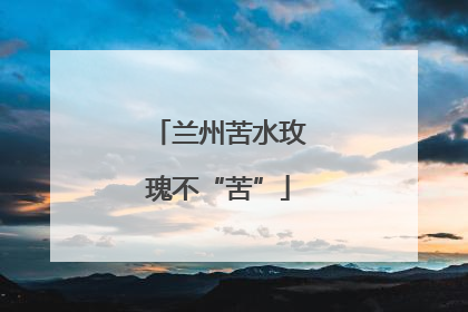 兰州苦水玫瑰不“苦”