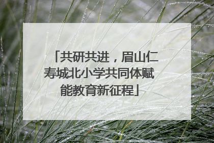 共研共进，眉山仁寿城北小学共同体赋能教育新征程
