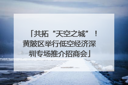 共拓“天空之城”！黄陂区举行低空经济深圳专场推介招商会