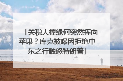 关税大棒缘何突然挥向苹果？库克被曝因拒绝中东之行触怒特朗普