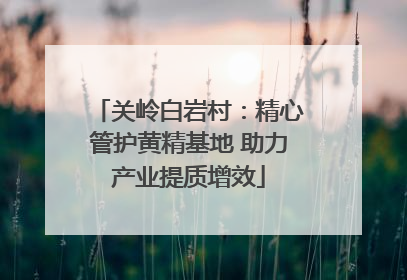 关岭白岩村：精心管护黄精基地 助力产业提质增效