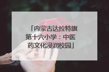内蒙古达拉特旗第十六小学：中医药文化浸润校园