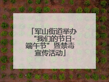 军山街道举办“我们的节日-端午节”暨禁毒宣传活动