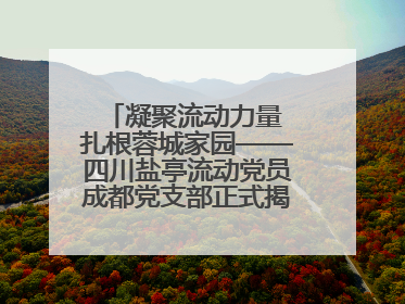 凝聚流动力量 扎根蓉城家园——四川盐亭流动党员成都党支部正式揭牌成立