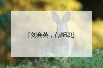 刘会英，有新职