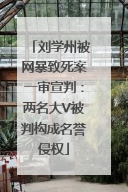 刘学州被网暴致死案一审宣判：两名大V被判构成名誉侵权