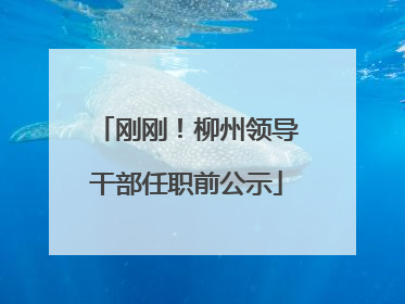 刚刚！柳州领导干部任职前公示