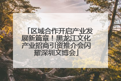 区域合作开启产业发展新篇章！黑龙江文化产业招商引资推介会闪耀深圳文博会