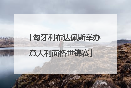 匈牙利布达佩斯举办意大利面桥世锦赛