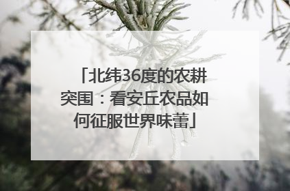 北纬36度的农耕突围：看安丘农品如何征服世界味蕾