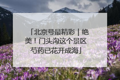 北京号最精彩｜绝美！门头沟这个景区芍药已花开成海