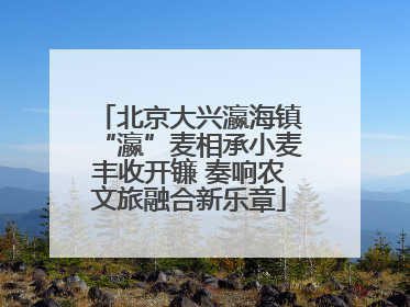 北京大兴瀛海镇“瀛”麦相承小麦丰收开镰 奏响农文旅融合新乐章