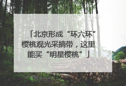 北京形成“环六环”樱桃观光采摘带，这里能买“明星樱桃”