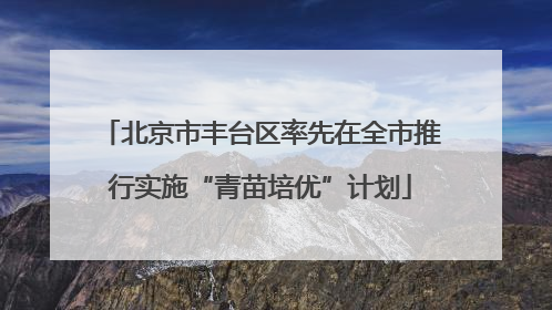 北京市丰台区率先在全市推行实施“青苗培优”计划