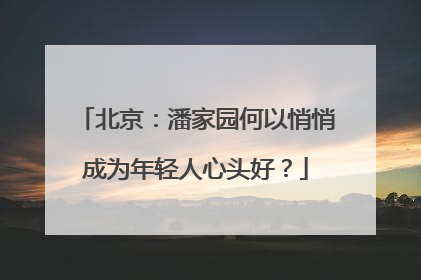 北京：潘家园何以悄悄成为年轻人心头好？