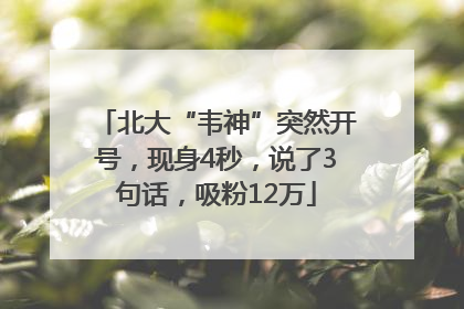 北大“韦神”突然开号，现身4秒，说了3句话，吸粉12万