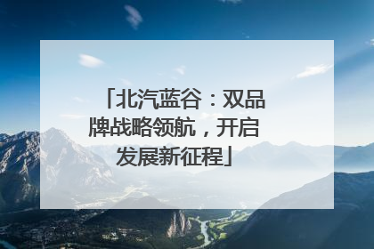 北汽蓝谷：双品牌战略领航，开启发展新征程