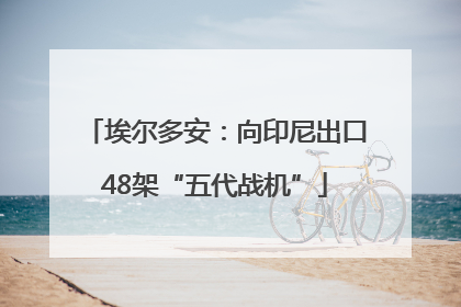 埃尔多安：向印尼出口48架“五代战机”