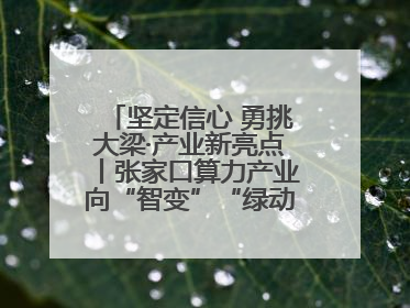 坚定信心 勇挑大梁·产业新亮点丨张家口算力产业向“智变”“绿动”跃升