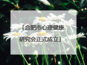 合肥市心理健康研究会正式成立