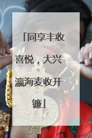 同享丰收喜悦，大兴瀛海麦收开镰