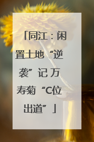 同江：闲置土地“逆袭”记 万寿菊“C位出道”