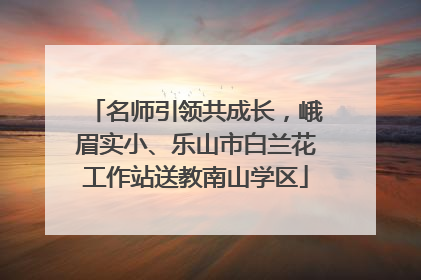 名师引领共成长，峨眉实小、乐山市白兰花工作站送教南山学区