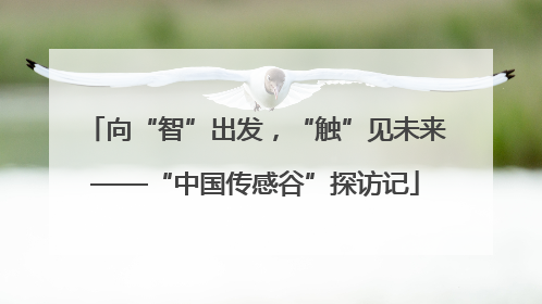 向“智”出发，“触”见未来——“中国传感谷”探访记