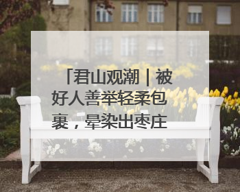 君山观潮｜被好人善举轻柔包裹，晕染出枣庄的温暖底色
