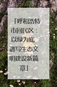 呼和浩特市回民区：以绿为底 谱写生态文明建设新篇章