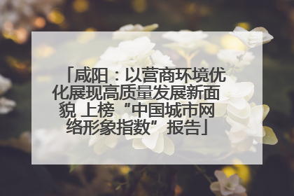 咸阳：以营商环境优化展现高质量发展新面貌 上榜“中国城市网络形象指数”报告