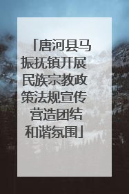 唐河县马振抚镇开展民族宗教政策法规宣传 营造团结和谐氛围