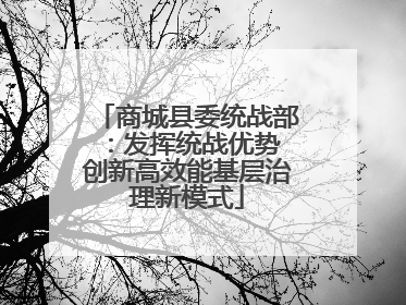 商城县委统战部：发挥统战优势 创新高效能基层治理新模式