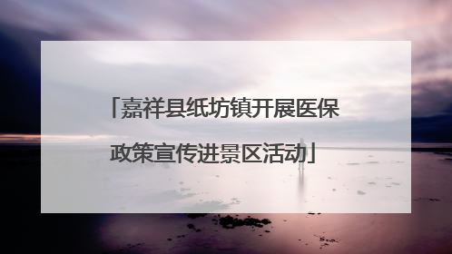 嘉祥县纸坊镇开展医保政策宣传进景区活动