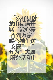 嘉祥县卧龙山街道开展“爱心粽香到万家 暖心端午送安康” “五为”志愿服务活动