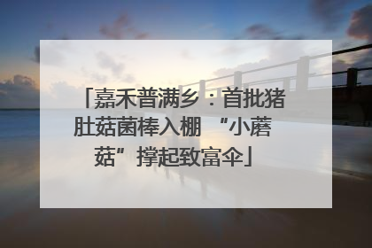 嘉禾普满乡：首批猪肚菇菌棒入棚 “小蘑菇”撑起致富伞