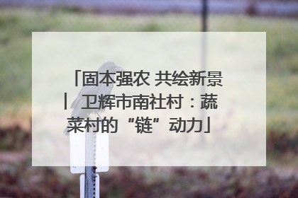 固本强农 共绘新景 ︳卫辉市南社村：蔬菜村的“链”动力