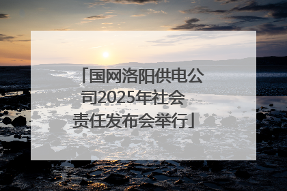 国网洛阳供电公司2025年社会责任发布会举行
