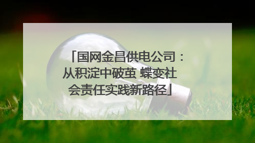 国网金昌供电公司：从积淀中破茧 蝶变社会责任实践新路径