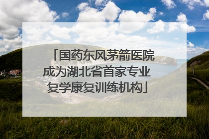 国药东风茅箭医院成为湖北省首家专业复学康复训练机构