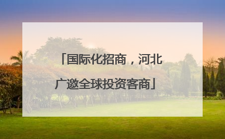 国际化招商，河北广邀全球投资客商