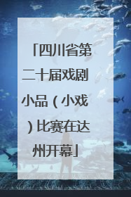 四川省第二十届戏剧小品（小戏）比赛在达州开幕