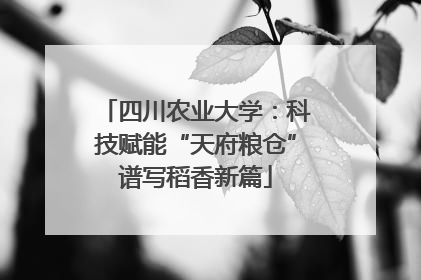 四川农业大学：科技赋能“天府粮仓”谱写稻香新篇