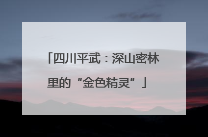 四川平武：深山密林里的“金色精灵”