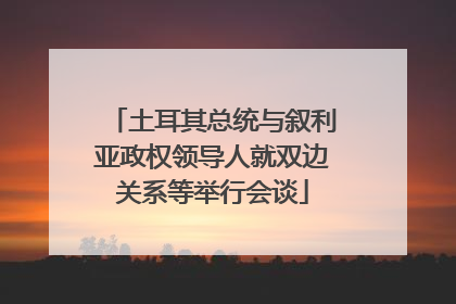 土耳其总统与叙利亚政权领导人就双边关系等举行会谈
