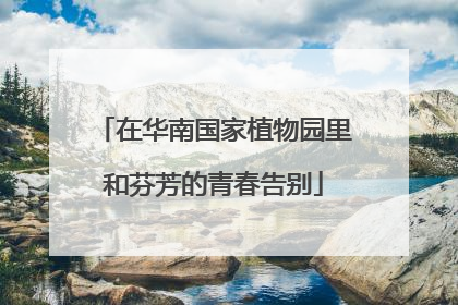在华南国家植物园里和芬芳的青春告别